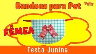 Festa Junina: Bandana pet fêmea😍 - Linda e Fácil - Valor sugerido by Dallin Ateliê 1,030 views 11 months ago 7 minutes, 57 seconds