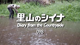 098 Heavy Rain House Tour / Table Repair Completed - YouTube