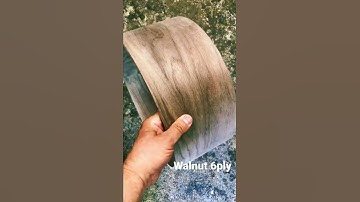 USA Drum Shells Walnut