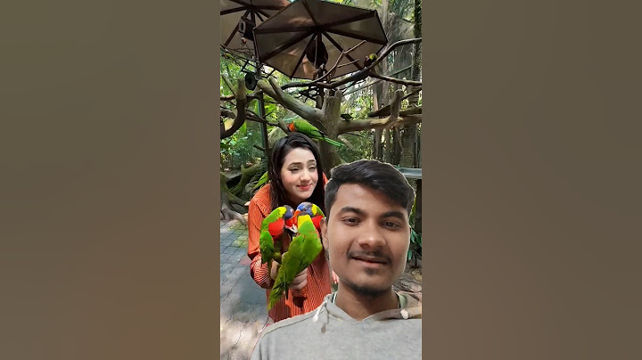 রিতুর বান্ধবীরা চলে আসছে🦜Malaysia Parrot😍#short #youtubeshort #funny #mrbeast#RituHossain