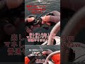 マダイ釣って帰って母ちゃんに怒られる程釣りたい方 岡山市笠岡遊魚 船T’Sに集合❣️#shortsvideo#釣り #automobile #バス釣り #fishing #アウトドア