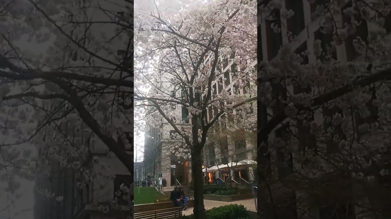 Pancras Square| Kings Cross london