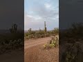 Boondocking in New River Arizona