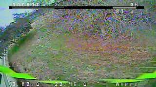 Ripn In The Park - Drobot Racer