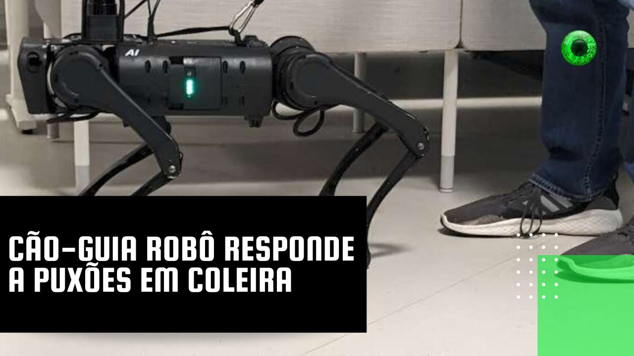 Cão-guia robô responde a puxões em coleira