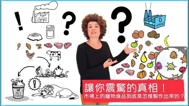 讓你震驚的真相！市場上的寵物食品到底是怎樣製作出來？？ Is it healthy the food you give to your dog/cat? - 天天要聞