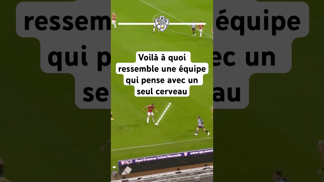 Voilà à quoi ressemble une équipe qui pense avec un seul cerveau  #football #foot  #manchester