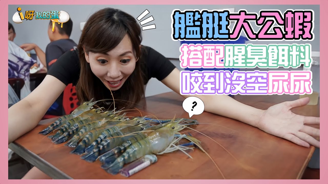 【釣蝦小益思】新開的釣蝦場  居然有艦艇級的公蝦  那還不釣爆它  #釣蝦 #i呀我的蛋 #新聞 #主播 Shrimpfishing  エビ釣り  새우 낚시