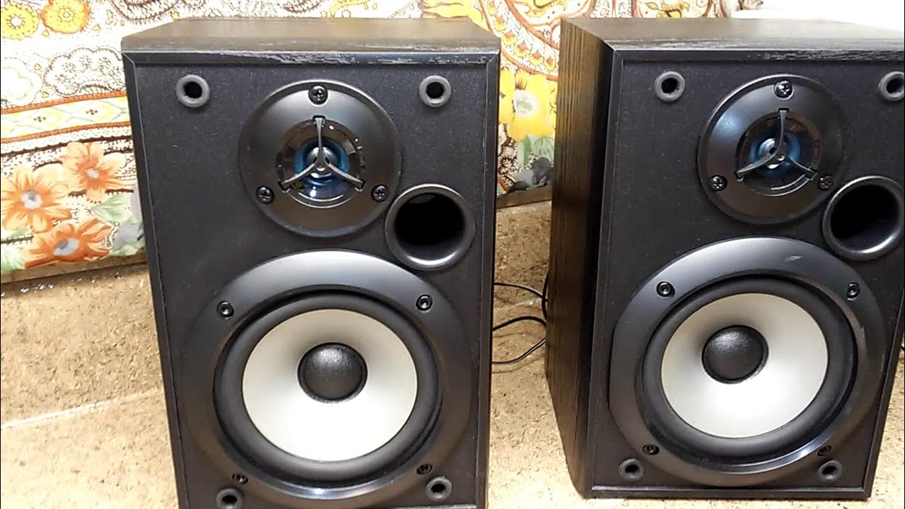 Sony SSB1000 Performance Bookshelf Speaker YouTube