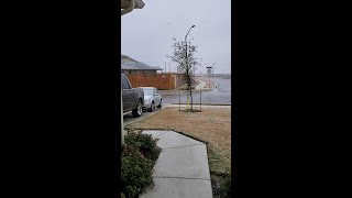Snow falling Georgetown on Jan. 10