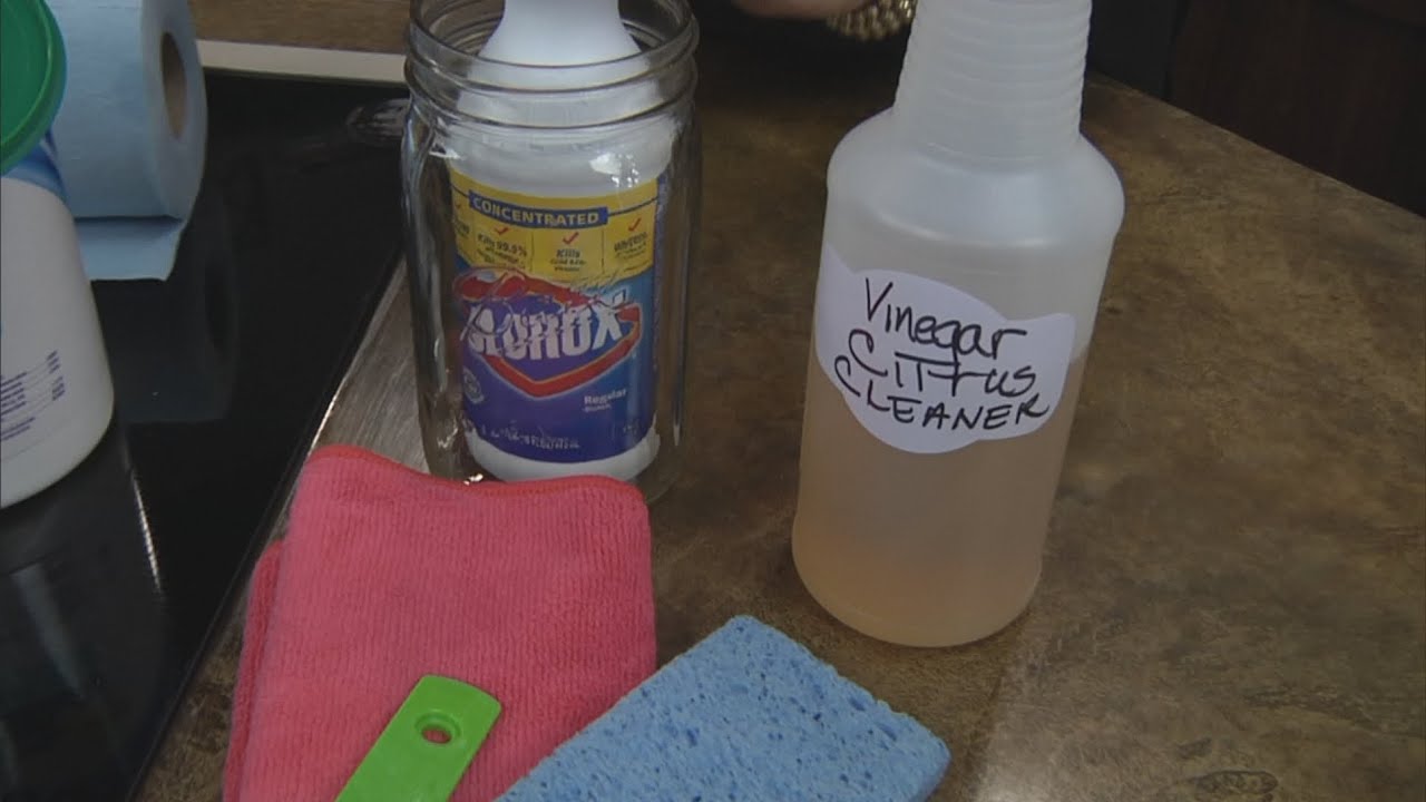 Queen of Clean takes on germiest places in the kitchen