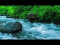 Calm River Flow for Sleep and Meditation – 1 Hour of Pure Water Sounds