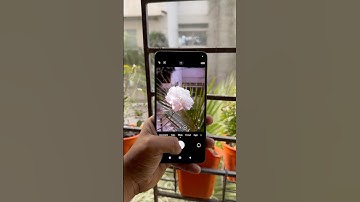Live photography by Xiaomi Redmi note 14