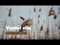 Vântul Știe (Mike Diamondz Style) | Reggae Pop Baladă / Summer Vibe