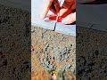 Tile leveling tools for masons 🧱📏 #shorts
