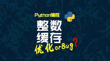 原因找到了！是Python对整数常量的优化