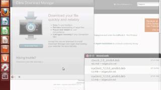 citrix workspace for linux ubuntu citrix workspace for linux ubuntu