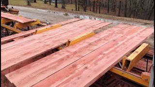 Red Cedar Lumber- Does Anyone Really Want It ?