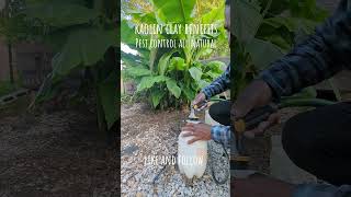 Kaolin clay for pest control #garden