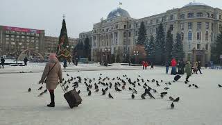 Здесь голуби и люди, здесь гудят поезда... Минутка с привокзальной площади. Харьков