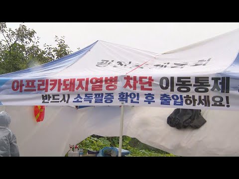 태풍에 아프리카 돼지 열병 방역도 비상 / 연합뉴스TV (YonhapnewsTV)