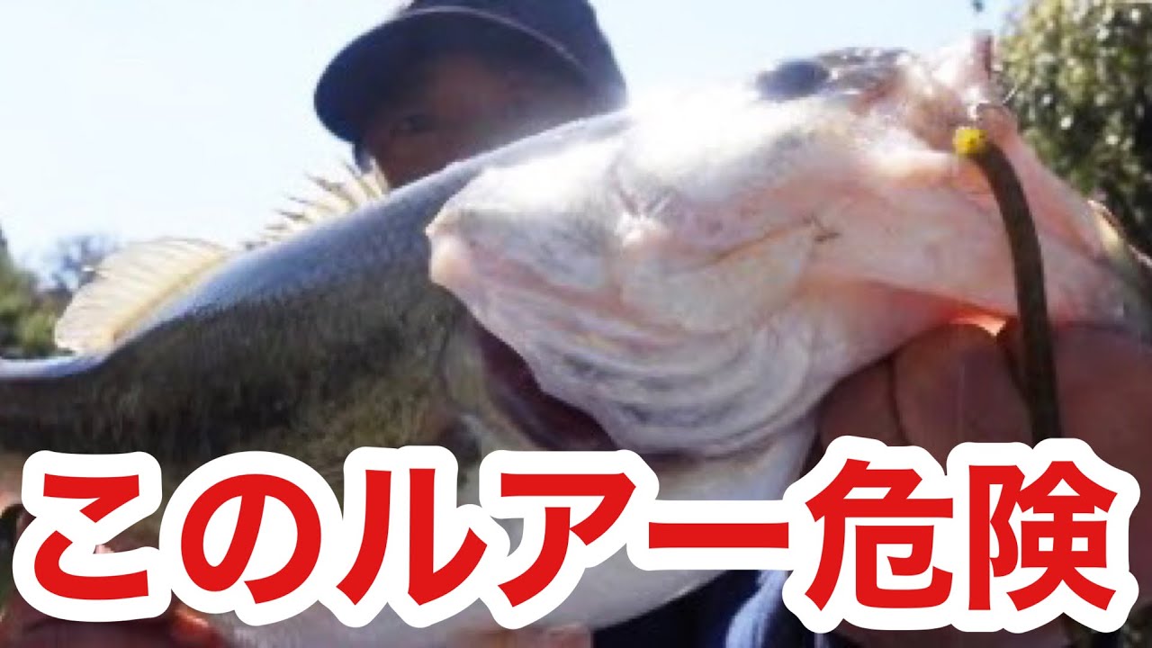 バス釣り】高滝湖のデカバスが好反応！？ゲーリーヤマモト「ヤマミミズ