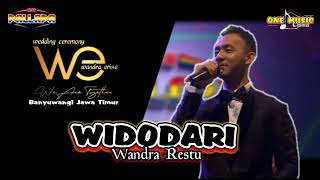 WIDODARI // Wandra Restu NEW PALLAPA TERBARU || wedding WANDRA \u0026 ERISE BANYUWANGI #dhehan_audio