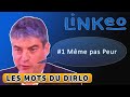 Linkeo les mots du dirlo   1 mme pas peur 