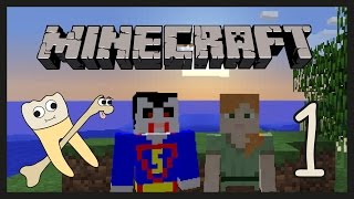 Minecraft Episode I: THE PILLOCK HILLOCK