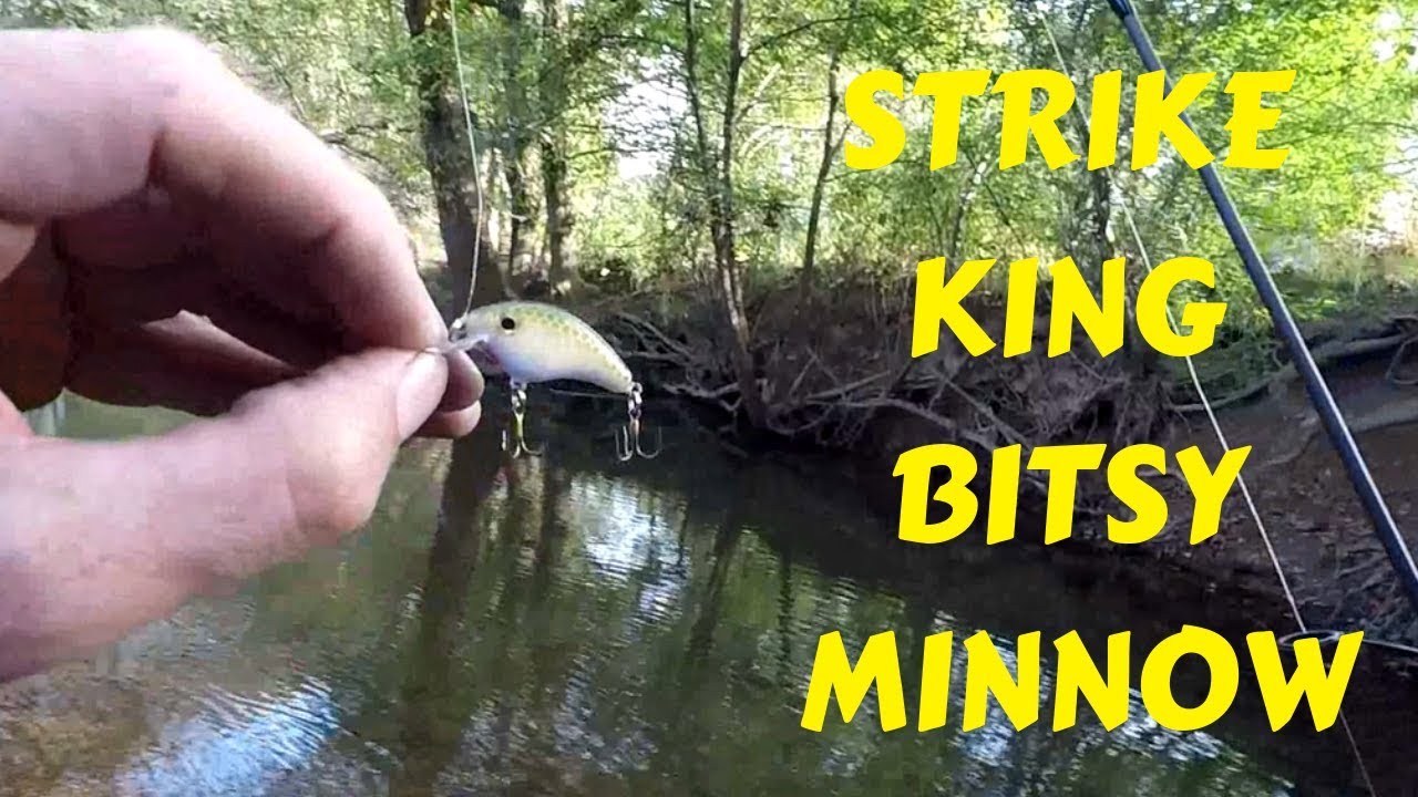 the BITSY MINNOW for creek fishing/ first time review 