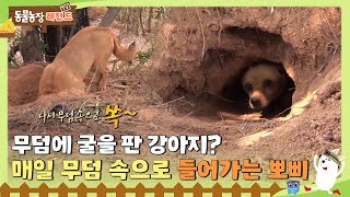 [TV 동물농장 레전드] 👻매일 무덤 속으로 들어가는 강아지 ‘뽀삐’😨 I TV동물농장 (Animal Farm) | SBS Story