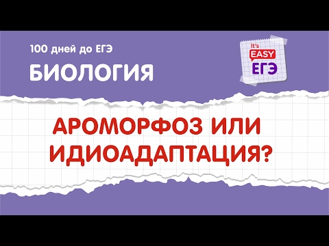 Как отличить ароморфозы и идиоадаптации в заданиях ЕГЭ по биологии?