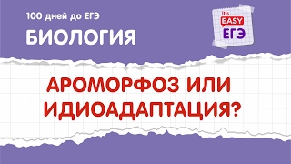 Как отличить ароморфозы и идиоадаптации в заданиях ЕГЭ по биологии?