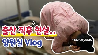 자연분만 출산 직후 찾아온 항문 통증..🔥 feat. 초산모의 감정기복