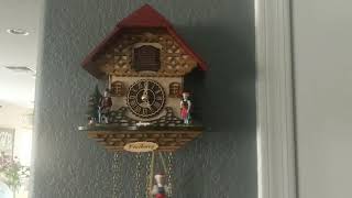 Cuckoo Clock - Que Será Será