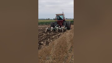 IH 1466 with Glenco 7 shank chisel plow