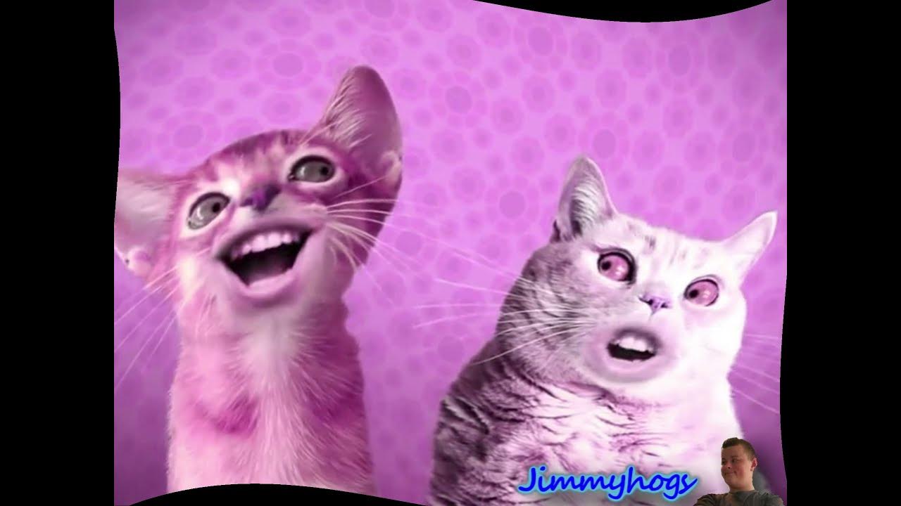 Preview 2 numa cat effects. Preview 2 numa cat effects