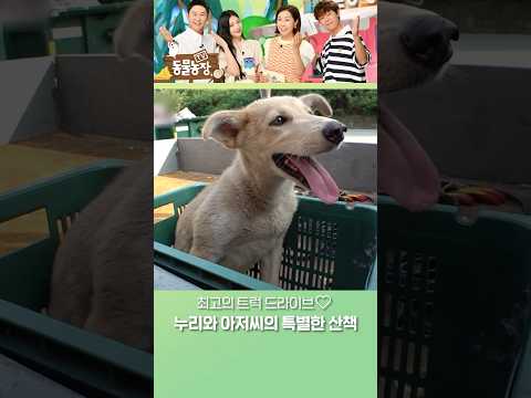 직접 걸을 수 없는 누리와 함께 <strong>산책하는</strong> 법 #TV동물농장