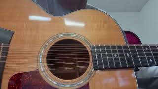 Taylor 555 12 string 1993 model