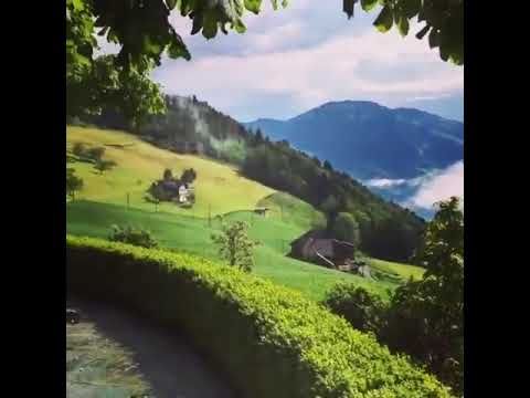 Video: Apsilankymas Šveicarijos Viešbutyje „Villa Honegg“? Štai Ką Reikia žinoti