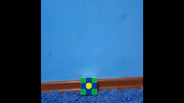 How To Get The Checker Flower Pattern On A Rubiks Cube