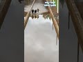 ಬ ಮ ಮರ ಬ ಟ ಟ ಜ ಗ ಟ ಟ ಮ ಲ ಕ ಚ ತ ರಪ ಕ ದ 