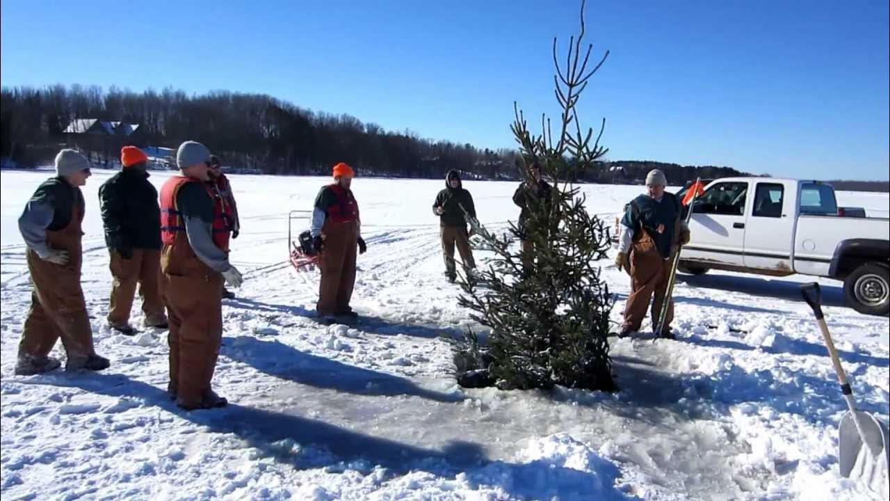 Tree Drop, Dairyland Flowage, Ladysmith, WI YouTube