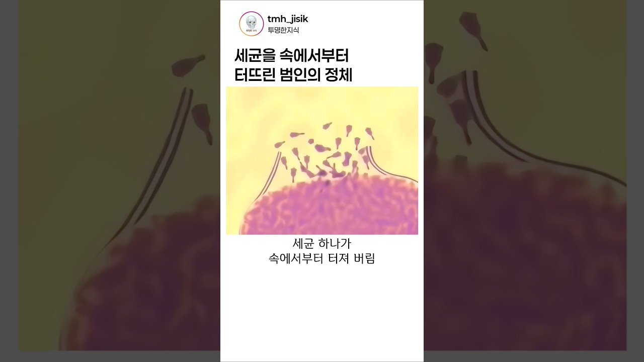 주사기 하나로 세균을 공장으로 바꾸는 발상, 박테리오파지