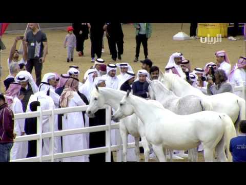 مشاركة صاحب السمو الأمير الوالد الشيخ حمد بن خليفة آل ثاني في فعاليات اليوم الرياضي للدولة