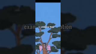 topic motion #physics #class 6 #JEEphysicsconcepts