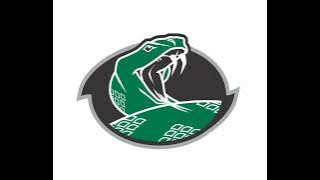 Madman At The Screens