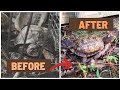 Rescuing Turtles Trapped in a Cage for Years (Parent Advisory)