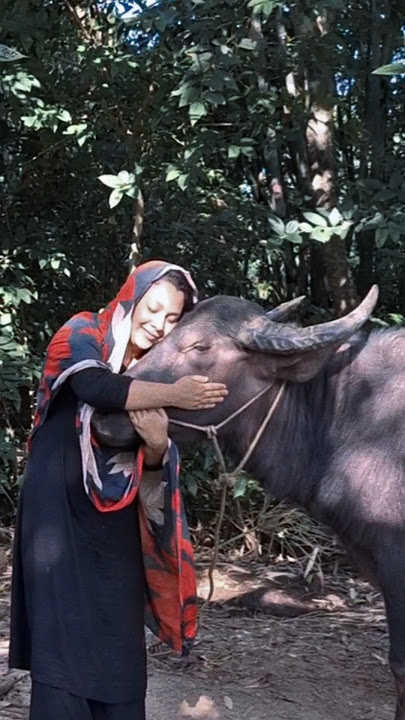 #shortsviral #cattleworld #shortvideos #unfrezzmyaccount #tshirtdesign #viralvideos #shortpants #sed