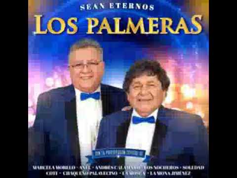 los-palmeras-ft.-marcela-morelo---amor